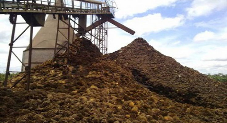 Kenaikan Harga CPO Memberikan Efek Positif ke Emiten Sawit